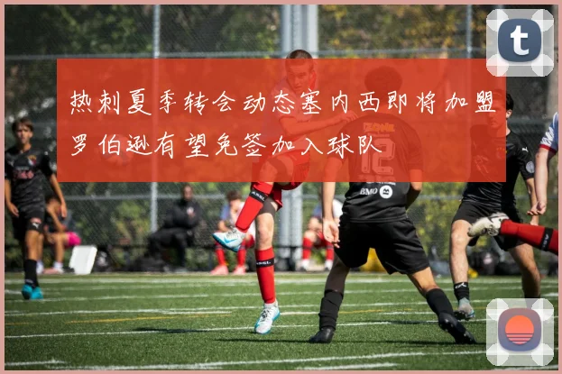 热刺夏季转会动态塞内西即将加盟罗伯逊有望免签加入球队